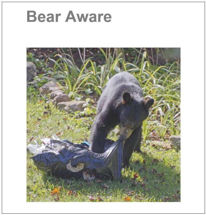 Bear aware button