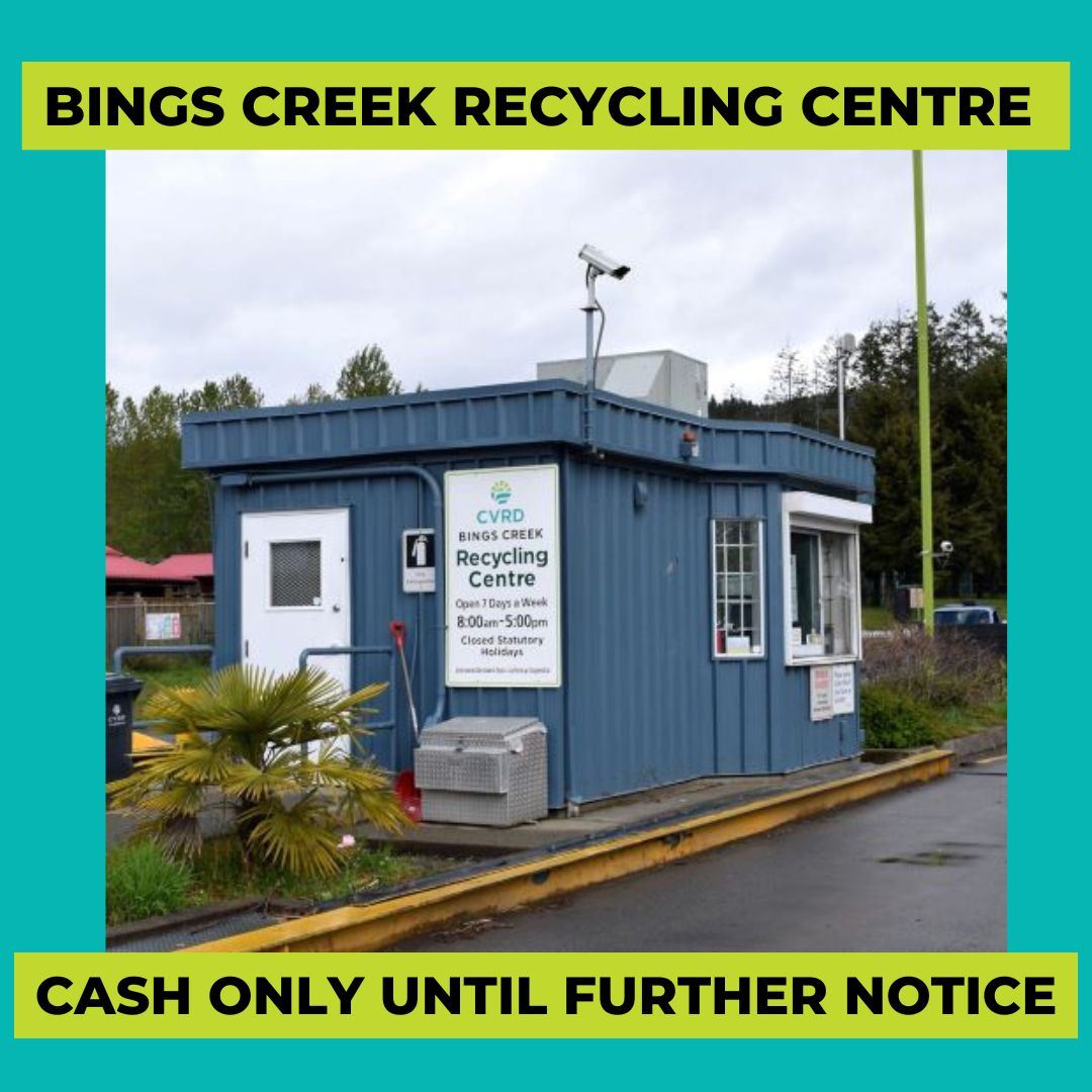 BINGS CREEK CASH ONLY