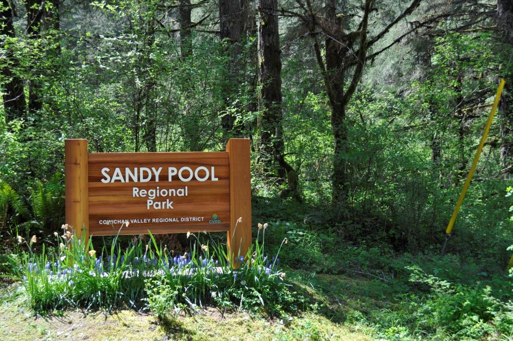 Sandy Pool 2015.JPG