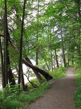 Osborne Bay Regional Park trail along the waterfront
