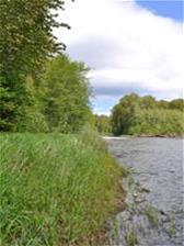 View downstream of the Cowichan River from Sandy Pool 