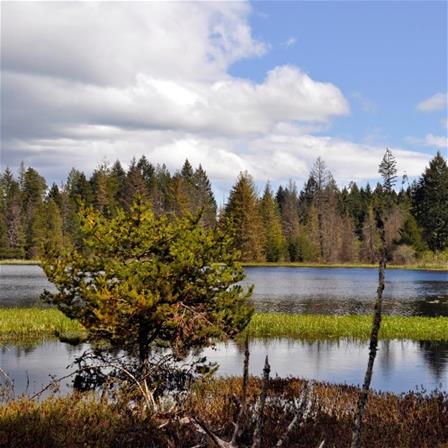 Wake Lake Nature Reserve 