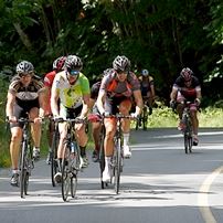 Road Cycling in Cowichan