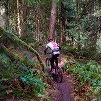 Mountain Biking in the Cowichan Valley