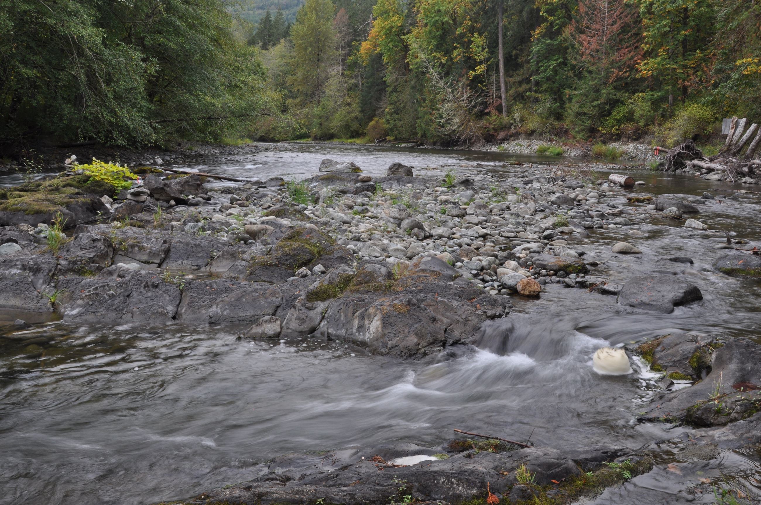 Cowichan watershed low water level