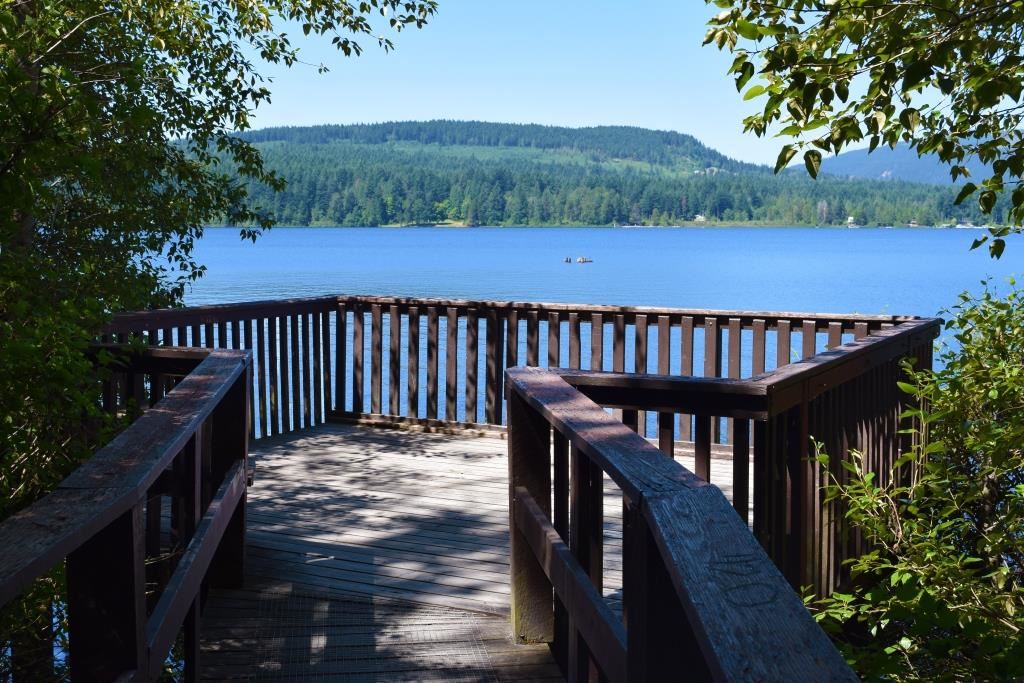 Old Mill Park Lookout