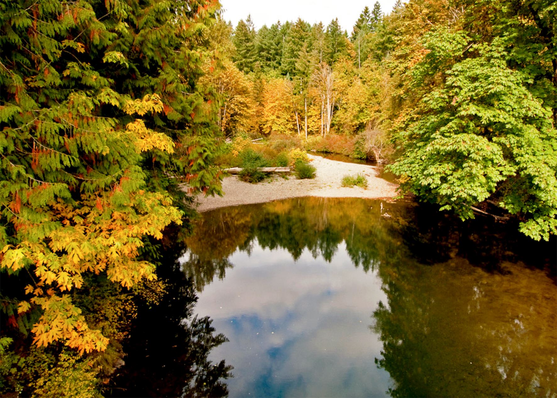 Koksilah River from suspension bridge