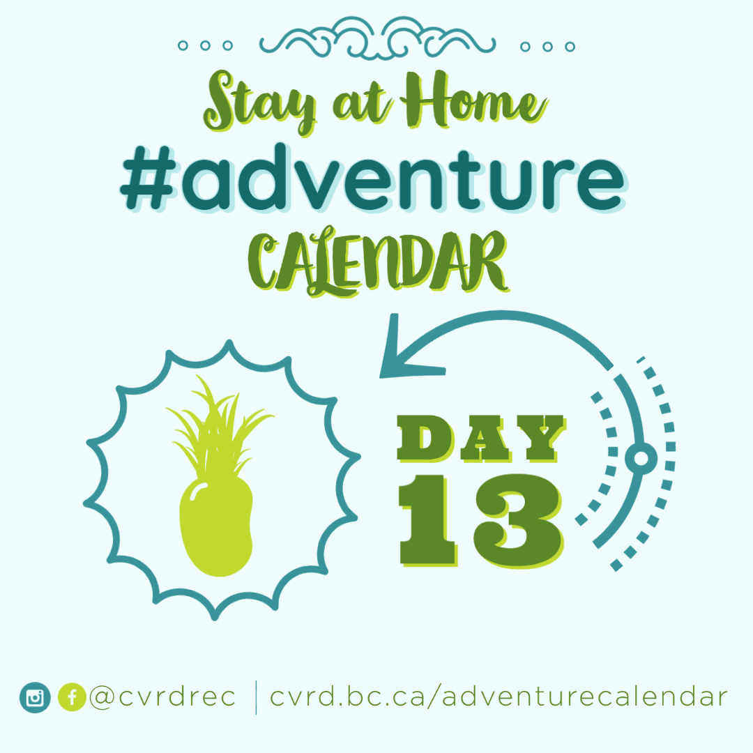 DAY 13 - Adventure Calendar