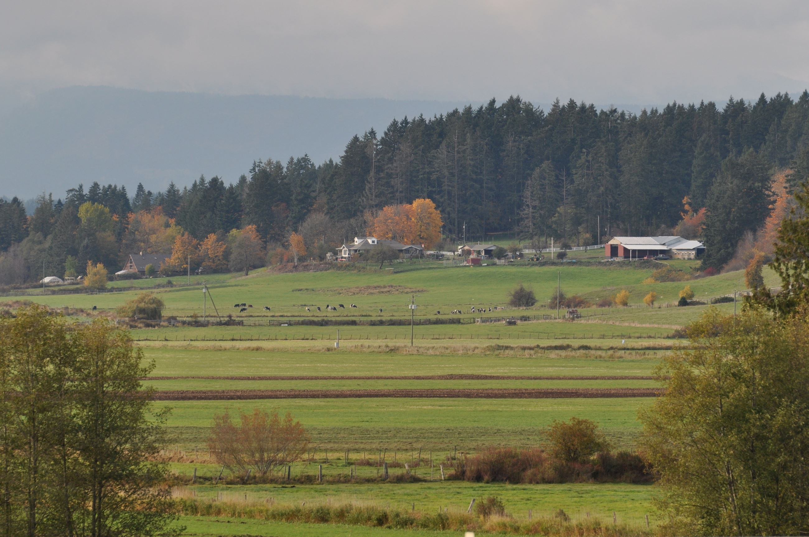 farm lands