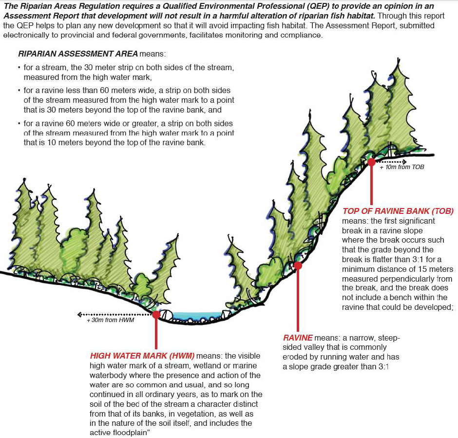 Ravine: a steep-sided valley