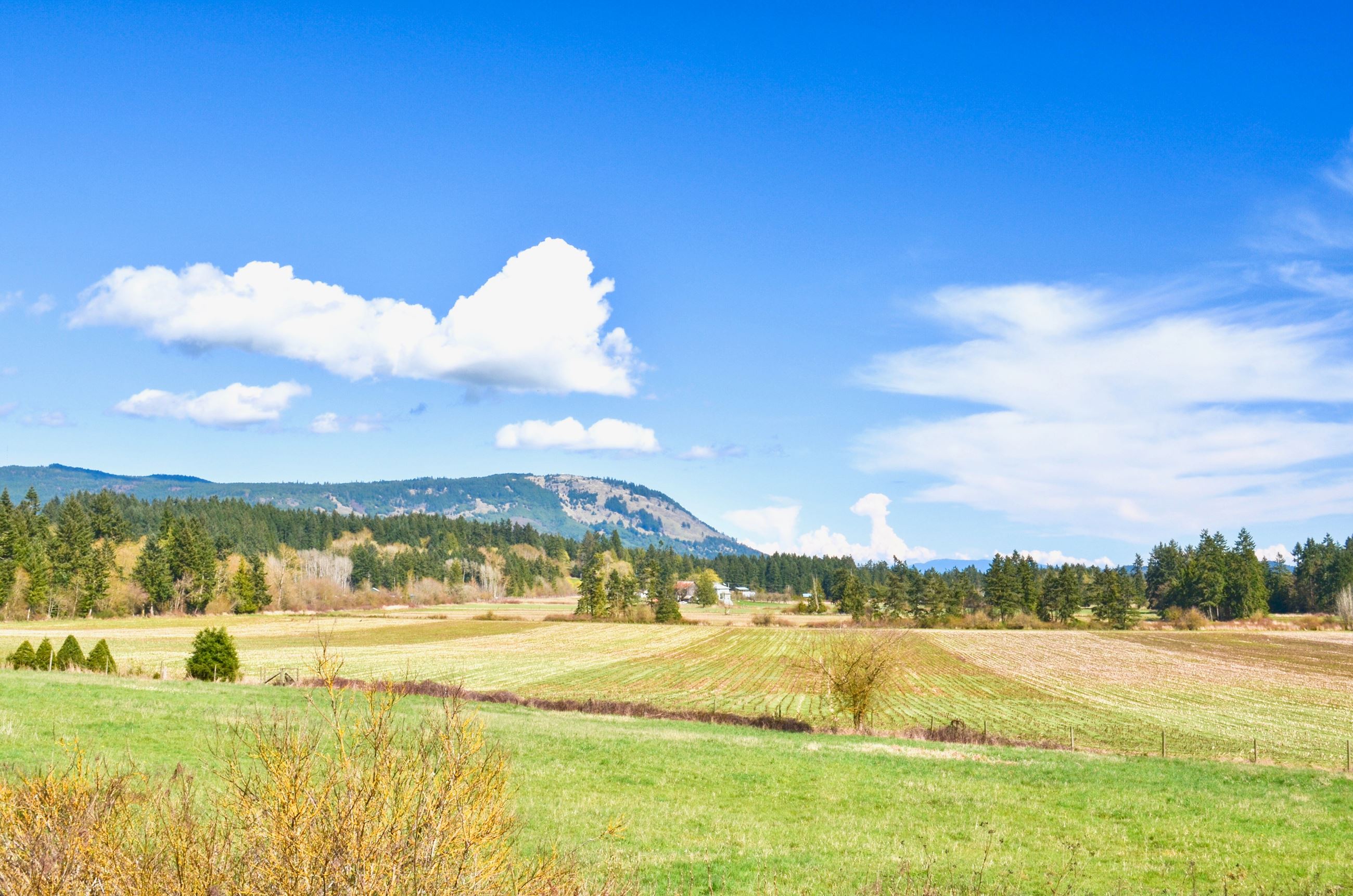 2022 Cobble Hill Farm Summer Dry - Drought