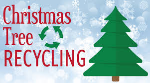 christmas-tree-recycling-image